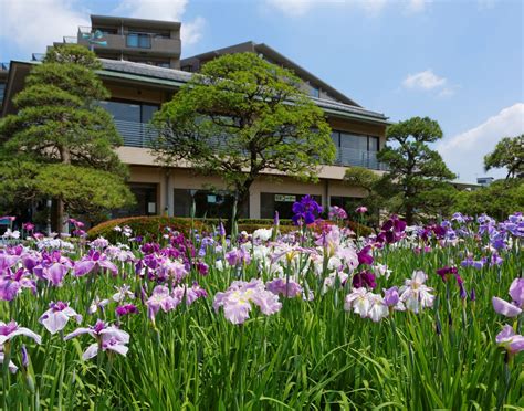 堀切菖蒲園 ランチ ～花と食が織りなす一時の贅沢～