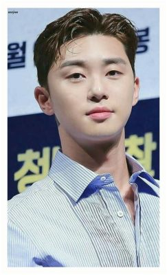 Park Seo-joon’s “Midnight Sun” Premiere: A Heartwarming Tale of First Love, Laughter, and Unexpected Thrills!