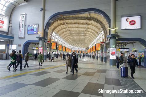 上野 ランチ ひとり - 孤独とグルメの交差点